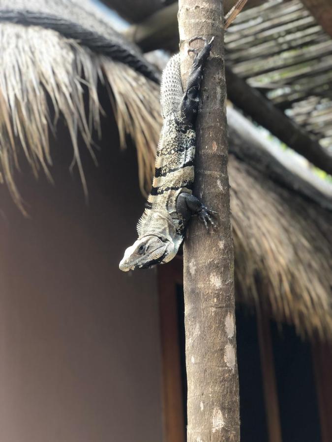 Casa Nalum Villa Tulum Eksteriør billede